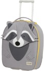 Raccoon Remy