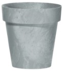 gri