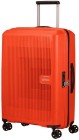 Bright Orange