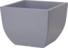 gri