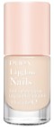 007 Ivory Cream
