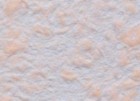 №9