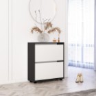 antracit/alb