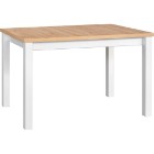 дуб артизан/белый