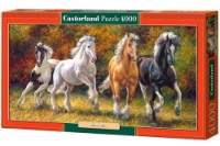 Puzzle Castorland 4000 Born to Run (C-400119)