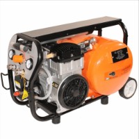 Компрессор Bisonte SC020-015 фото №2 — интернет-магазин Desire.md