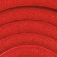 Коврик для фитнеса Spokey Softmat (928928) фото №4 — интернет-магазин Desire.md