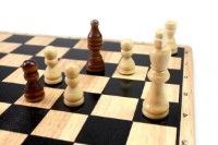 Şah Tactic Chess (14001)