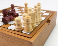 Шахматы Tactic Chess (14024)