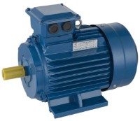 Электродвигатель Mogilevsk AIR 63B 2 (10112211) фото №1 — интернет-магазин Desire.md