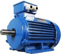 Motor electric Mogilevsk AIR 80B 8 (10112811)
