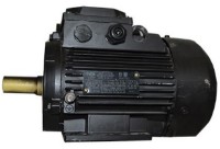 Motor electric Mogilevsk AIRE 63B 4 (10809411)