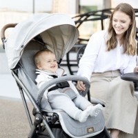 Коляска Joie Tourist Signature Oyster (S1706DAOYS000) фото №9 — интернет-магазин Desire.md