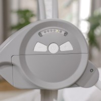 Детское кресло-качалка Bright Starts Ingenuity Swingity Swing Goji (12536) фото №7 — интернет-магазин Desire.md