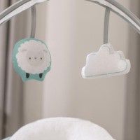 Детское кресло-качалка Bright Starts Ingenuity Swingity Swing Goji (12536) фото №8 — интернет-магазин Desire.md