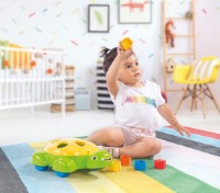 Сортер Dolu Turtle Shape Sorter (6016) фото №2 — интернет-магазин Desire.md