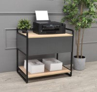 Стеллаж Deco Raft Imprimanta cu sertar 740x500x740 фото №2 — интернет-магазин Desire.md