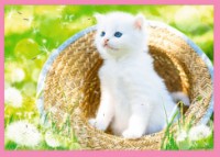 Puzzle Trefl 4in1 Fun cats (34396) imaginea #2 — magazin online Desire.md