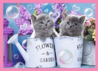 Puzzle Trefl 4in1 Fun cats (34396) imaginea #4 — magazin online Desire.md