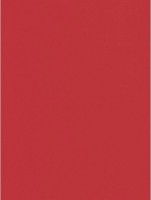 Hartie copiator Mondi A4 IQ Color Coral Red 80g/m2 CO4480 imaginea #2 — magazin online Desire.md