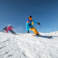 Лыжи Elan Element Blue/Orange LS EL 10.0 176cm фото №6 — интернет-магазин Desire.md