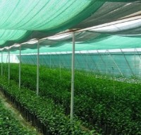 Plase Greentech U80 (1.5x200)