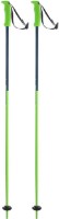 Лыжные палки Elan Speed Rod Green 125cm