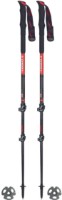 Треккинговые палки Masters Eiger Calu (01S2219)