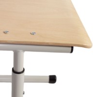 Scaun școlar Tisam Серый (90109) imaginea #4 — magazin online Desire.md