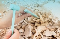 Детский набор для исcледований Deli (DL74349) фото №2 — интернет-магазин Desire.md