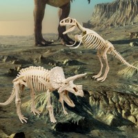 Set de cercetare pentru copii Deli (DL74351) imaginea #3 — magazin online Desire.md