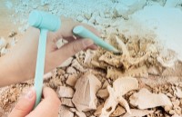 Set de cercetare pentru copii Deli (DL74351) imaginea #4 — magazin online Desire.md