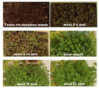 3D пазл-конструктор Zilipoo Windmill Farm (Z-001) фото №8 — интернет-магазин Desire.md