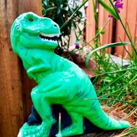 Set de decorare Ses (14206S) imaginea #8 — magazin online Desire.md