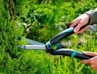 Foarfecă de gradină (secatore) Gardena PrecisionCut (12302-20) imaginea #5 — magazin online Desire.md