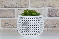 Ghiveci M Plastik Пирула M3100 imaginea #5 — magazin online Desire.md