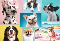 Puzzle Trefl 1500 Cute Dogs (26186)