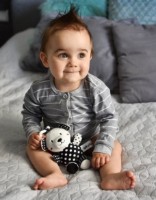 Игрушка для колясок и кроваток Akuku A0470 фото №2 — интернет-магазин Desire.md