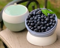 Cutie sandwich pentru școală Fissman 6803 800ml imaginea #5 — magazin online Desire.md