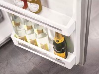 Frigider Liebherr CT 2931 imaginea #5 — magazin online Desire.md