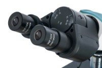 Микроскоп Levenhuk 400B Binocular фото №6 — интернет-магазин Desire.md