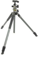 Штатив Vanguard Alta Pro 2+ 263AB100 фото №2 — интернет-магазин Desire.md