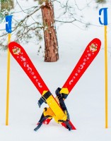 Лыжи с палками детские Technok (3350) фото №4 — интернет-магазин Desire.md