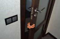 încuietoare Roxy Kids Tiger (RDF-001)  imaginea #2 — magazin online Desire.md