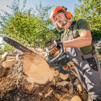 Ferăstrău cu lanţ electric Dnipro-M DSE-15S imaginea #5 — magazin online Desire.md