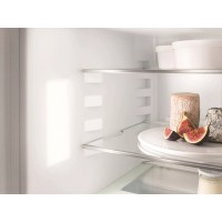 Встраиваемый холодильник Liebherr IRe 4100 фото №3 — интернет-магазин Desire.md
