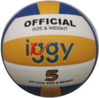Minge de volei Iggy IGVB-PRO imaginea #1 — magazin online Desire.md