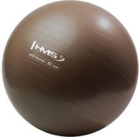 Фитбол HMS YB02 65cm Grizzly фото №1 — интернет-магазин Desire.md