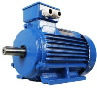 Motor electric Mogilevsk AIR 112 M 750 (10120811) imaginea #1 — magazin online Desire.md