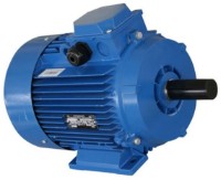 Motor electric Mogilevsk AIR 80 A 750 (10111811)